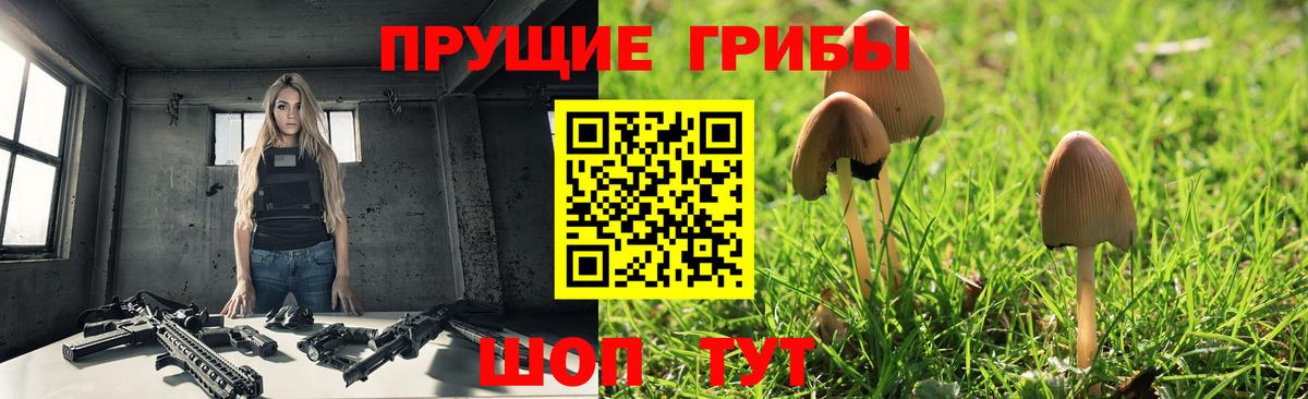 Волжский  Галлюциногенные грибы Cubensis  Псилоцибиновые грибы Magic Shrooms  Вход с VPN 